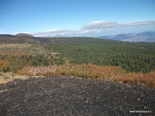 nte Zappinazzo-04-11-2012 11-04-29
